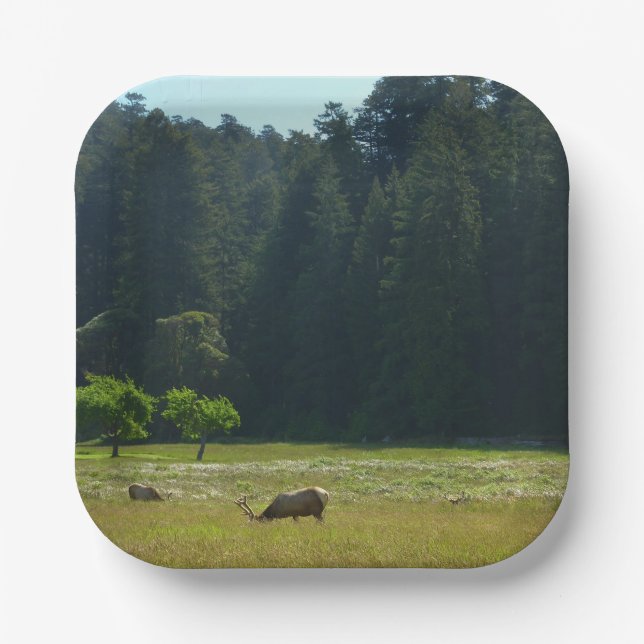 Elk Meadow at Redwood National Park Paper Plates (Front)