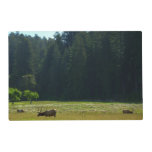 Elk Meadow at Redwood National Park Placemat