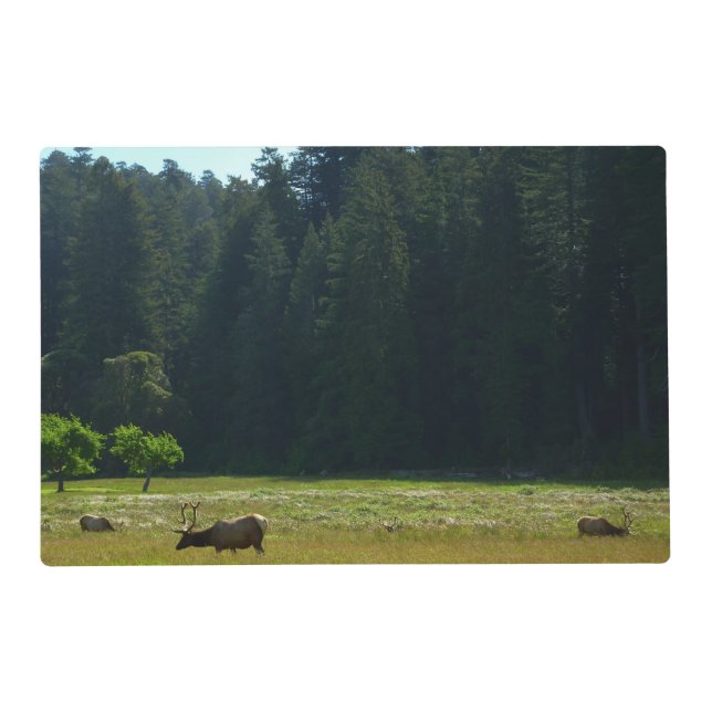 Elk Meadow at Redwood National Park Placemat (Front)