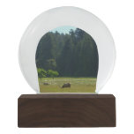 Elk Meadow at Redwood National Park Snow Globe