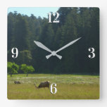 Elk Meadow at Redwood National Park Square Wall Clock