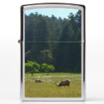 Elk Meadow at Redwood National Park Zippo Lighter