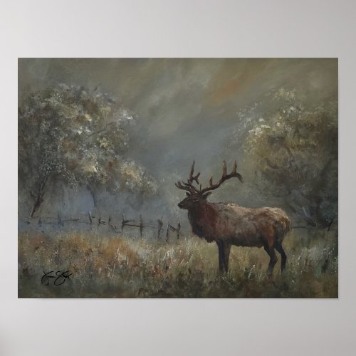Elk Meadow Poster