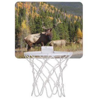 Elk mini basketball hoop