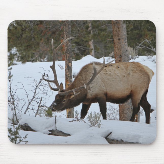 Elk Mouse Pad (Front)