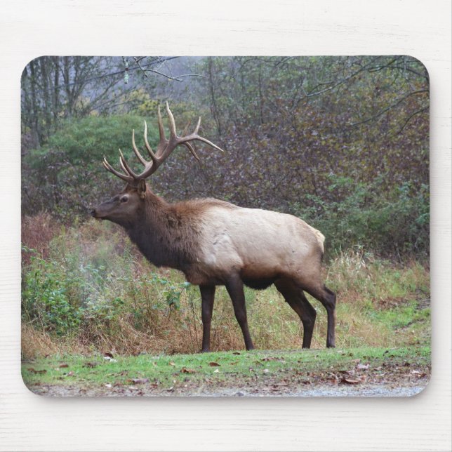 Elk Mousepad (Front)