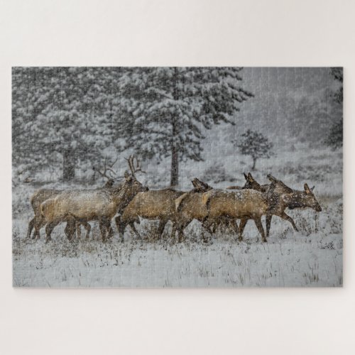 Elk Moving the Cows in Rut Jigsaw Puzzle