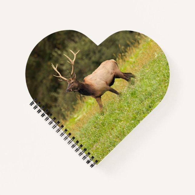 Elk Notebook (Front)