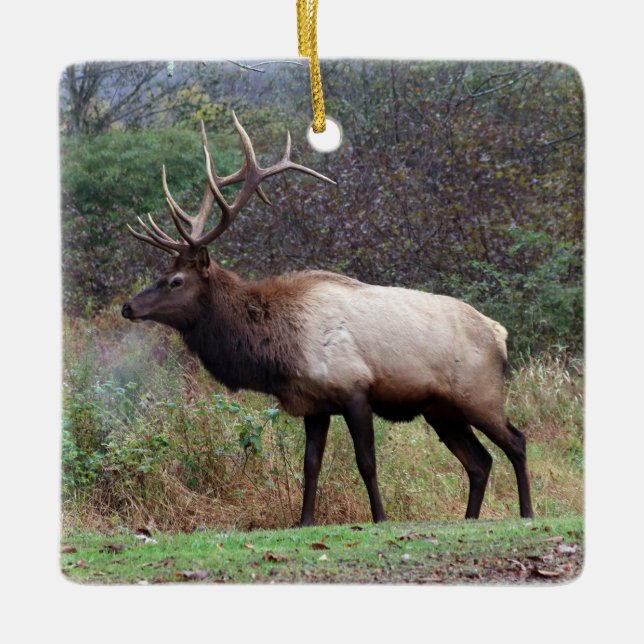 Elk Ornament (Front)