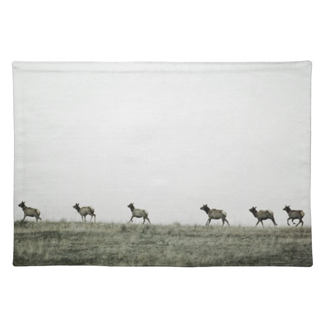 Elk P2799 Placemats (Front)