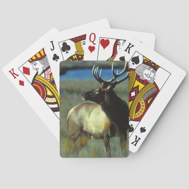 Elk Playing Cards (Back)