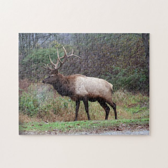 Elk Puzzle (Horizontal)