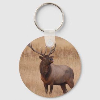 elk raspberry keychain