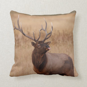 elk throw pillows