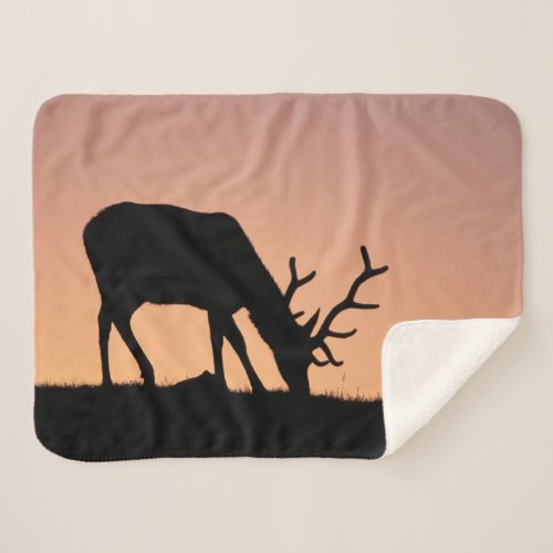 Elk  Rocky Mountains National Park Colorado Sherpa Blanket