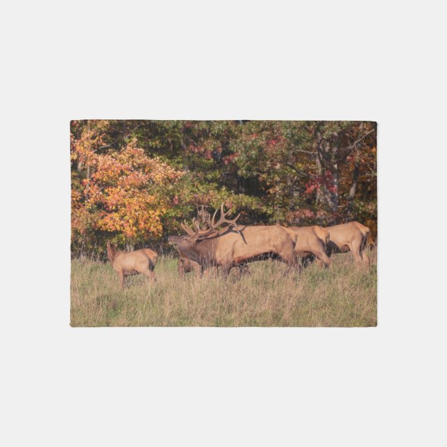Elk Rug (Front)
