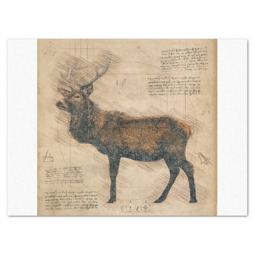 Elk Rustic Grunge Drawing Tissue Paper