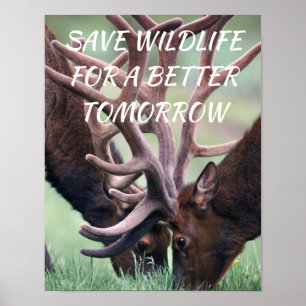 Elk, Save Wildlife for a Better Tomorrow Nature Poster