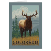 Elk SceneColorado (Front)