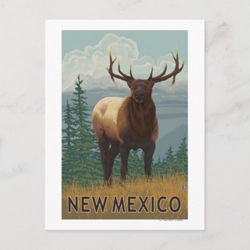 Elk SceneNew Mexico Postcard