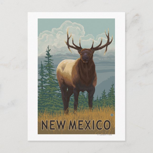 Elk SceneNew Mexico Postcard (Front)