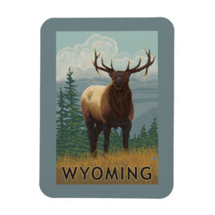 Elk SceneWyoming Magnet