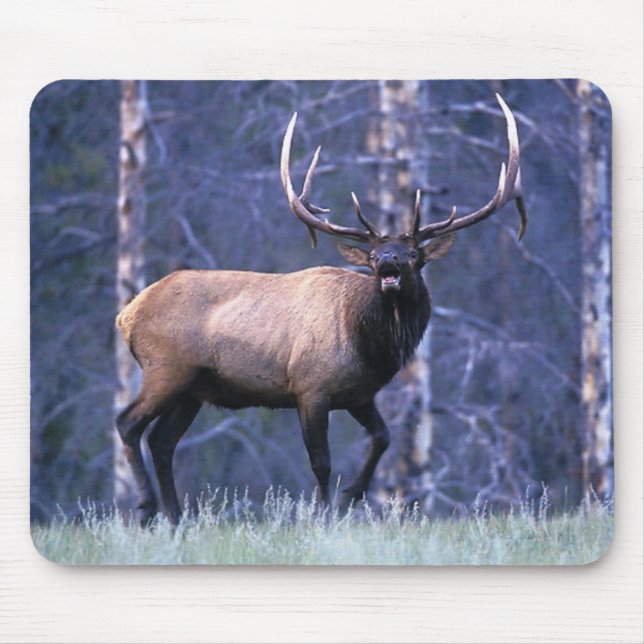 Elk Scream Mouse Pad (Front)