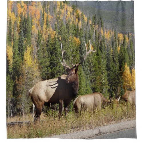 Elk Shower Curtian Shower Curtain