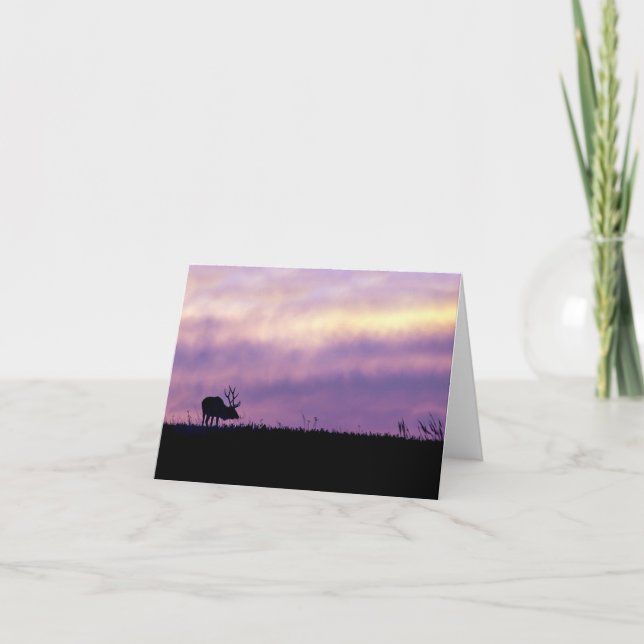 Elk Silhouette at Sunset Greeting Card Blank (Front)