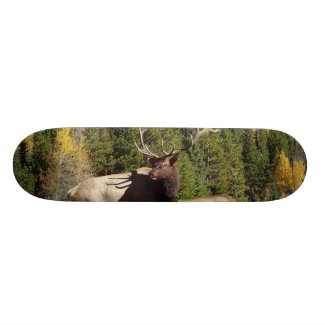Elk Skateboard