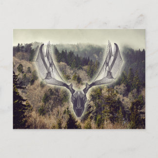 Elk skull postcard