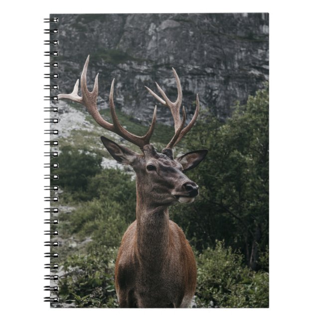 ELK STACK DEER NOTEBOOK (Front)