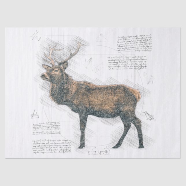 Elk Stag Drawing Tissue Paper (Front)