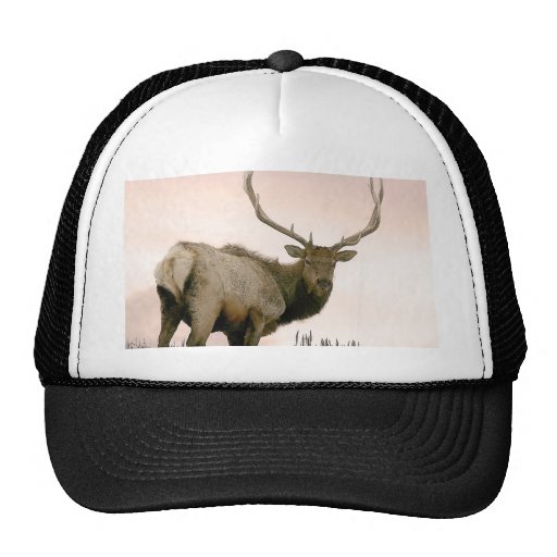 Elk Trucker Hat | Zazzle