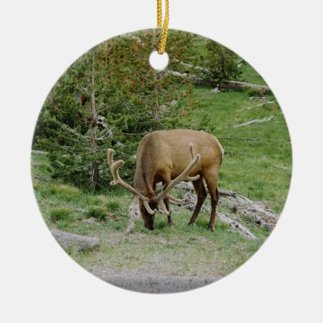 Elk With Velvet Antlers Ceramic Ornament (Front)