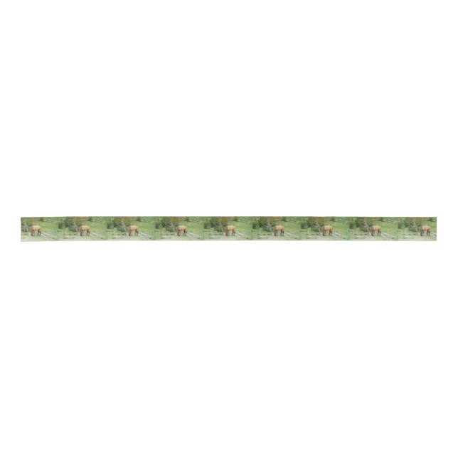 Elk With Velvet Antlers Yellowstone Satin Ribbon (Front)
