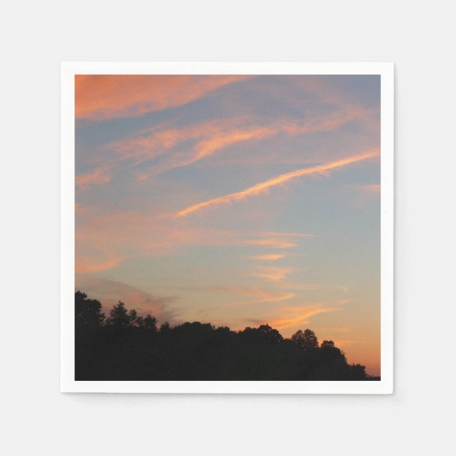 Elkridge Sunset Maryland Landscape Paper Napkins (Front)