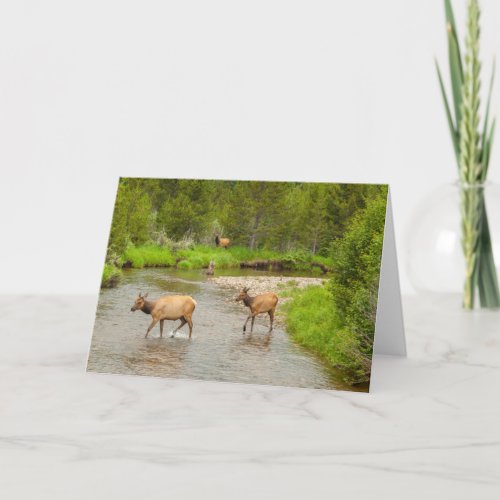 Elks Crossing the Colorado River Card