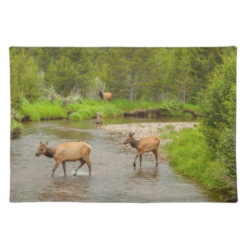 Elks Crossing the Colorado River Cloth Placemat