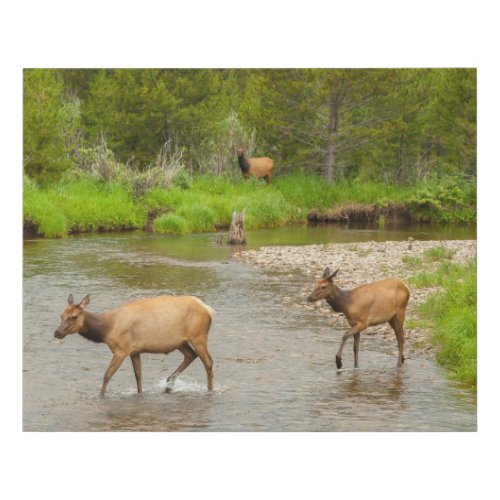 Elks Crossing the Colorado River Faux Canvas Print