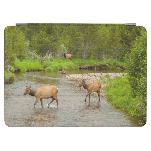 Elks Crossing the Colorado River iPad Air Cover