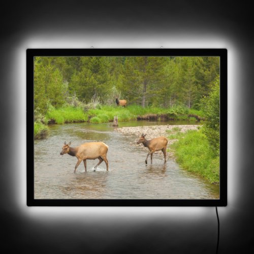 Elks Crossing the Colorado River LED Sign