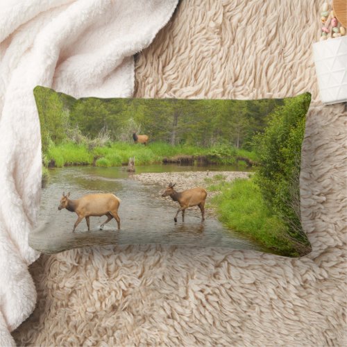 Elks Crossing the Colorado River Lumbar Pillow