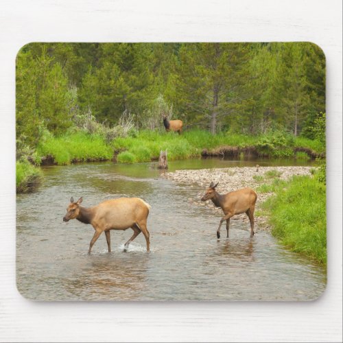 Elks Crossing the Colorado River Mouse Pad