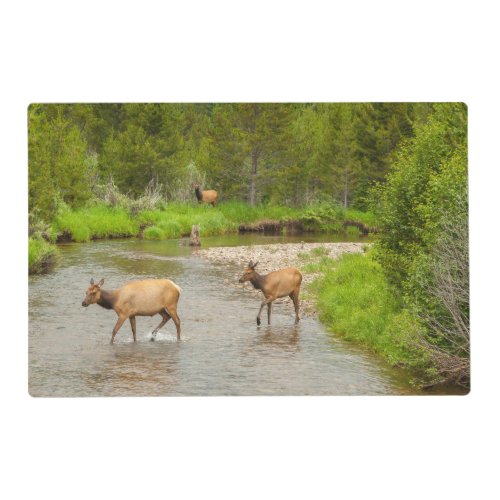 Elks Crossing the Colorado River Placemat