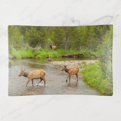 Elks Crossing the Colorado River Trinket Tray