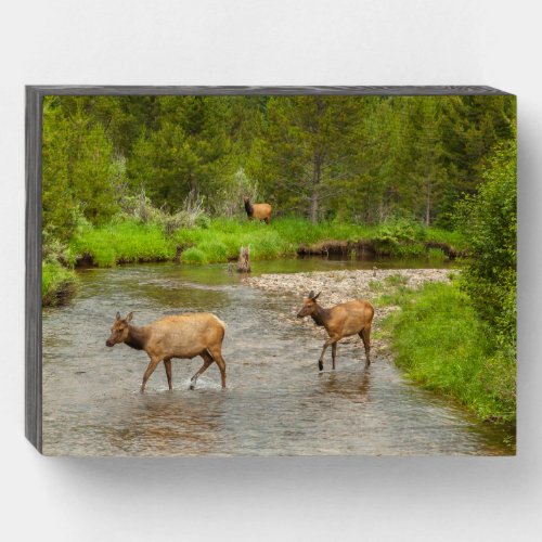 Elks Crossing the Colorado River Wooden Box Sign