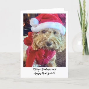Ella Bella Banana Santa Letterpress Thank You Card
