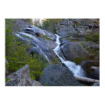 Ella Falls at Sequoia National Park Poster