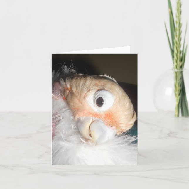 Ella Glamour Card (Front)